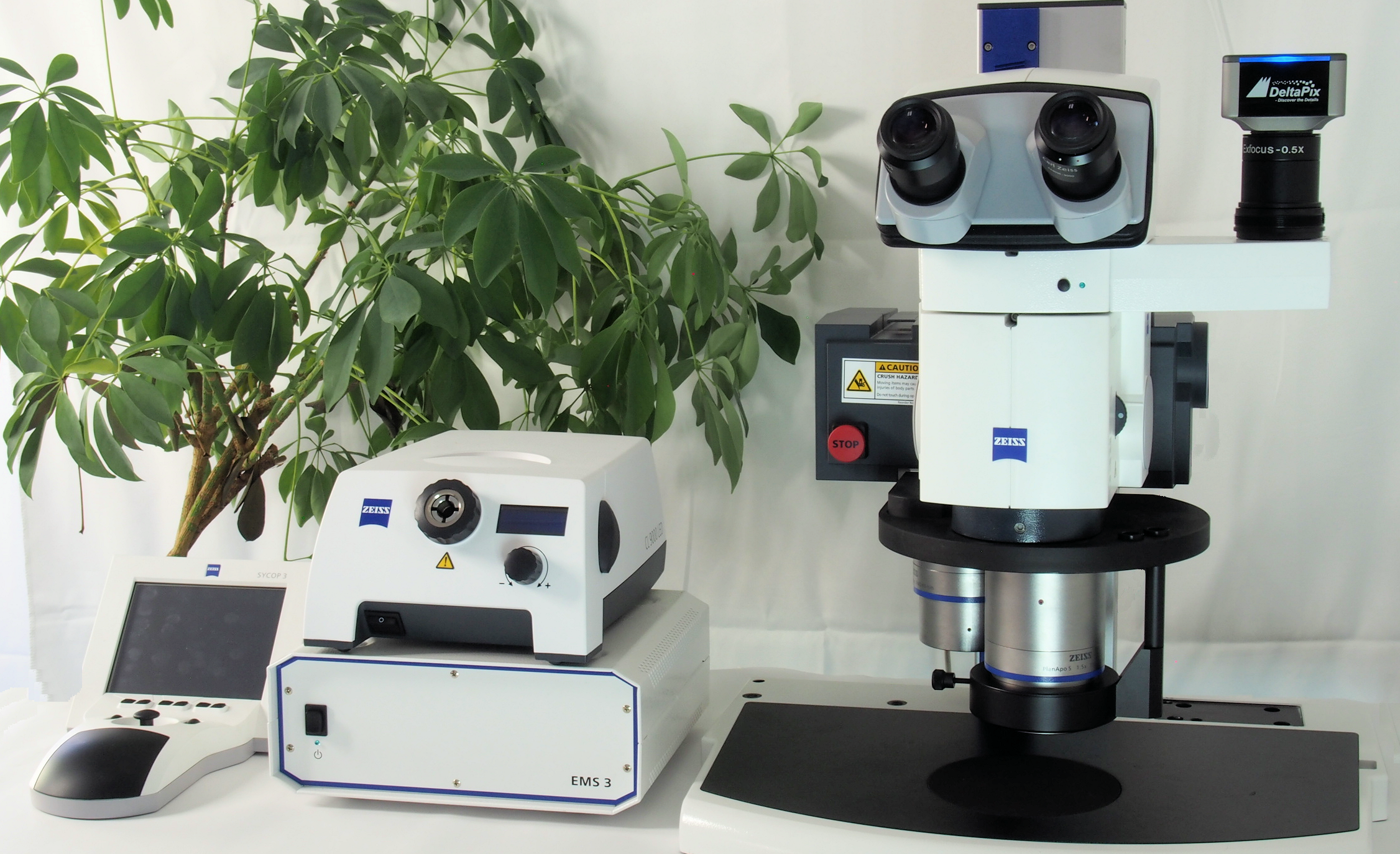 Zeiss V20 with DeltaPix software and microscope camera