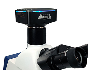 4K microscope camera