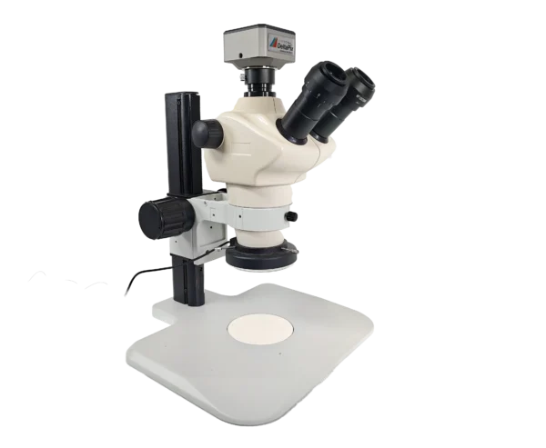 Stereo Microscope 8X-50X